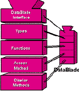  DataBlade